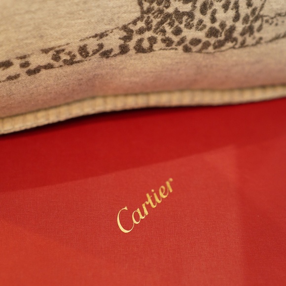 Cartier Cashmere Cushion (Pair) in Soft Gray - Original Box - MSRP $1398 - BNIB - Picture 4 of 6